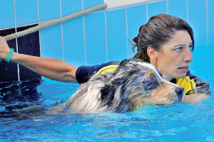 acqua nuoto piscina