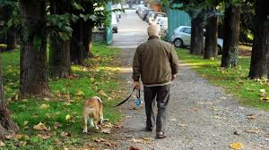 Cani a spasso nei parchi cittadini: il sindaco non può vietarlo. Lo dice il giudice