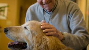 A Campobasso l’Alzheimer si batte a colpi di coda