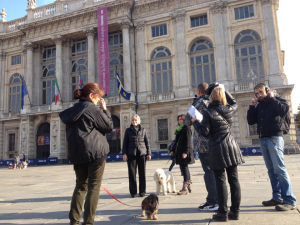 Palazzo Madama è stato il primo museo torinese ad aprire le porte ai cani