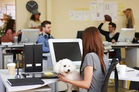 Torna la Giornata Mondiale dei Cani in Ufficio: dal 1996 espansione tra alti e bassi