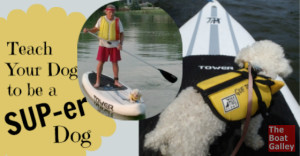 Tips-for-SUP-ing-with-your-dog-large