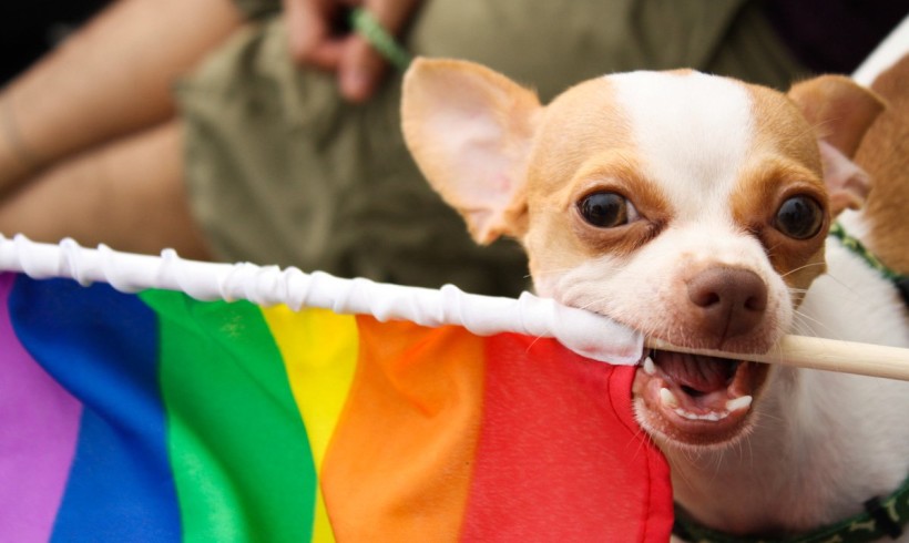 Al Gay Village di Roma si scodinzola: stasera è Dog Village Pride