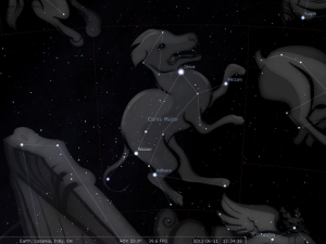 La costellazione del Cane Maggiore nella raffigurazione di Stellarium