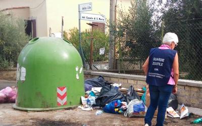 Orrore a Roma, trovato cadavere di un cane bruciato e con le zampe amputate