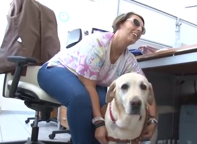 “Quel cane guida puzza”: operatori abbandonano il centralino. In tilt i telefoni dell’ospedale di Pescara