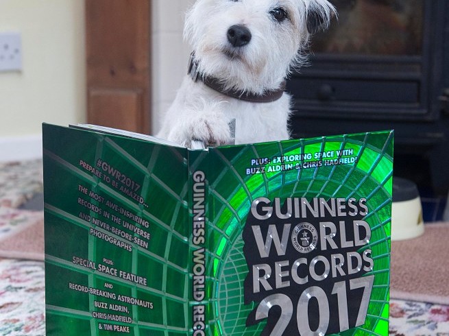 Record da cani: Smurf nel Guinness dei Primati 2017. Che dire? Prepara anche il tè…