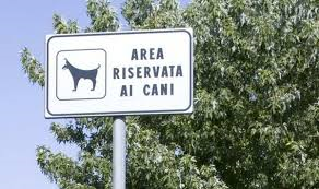 Lame e chiodi in area cani per ferire i quattro zampe: sconcerto a Massa