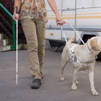 Cane guida e non vedente respinti dal taxi, protesta Uici