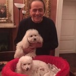 Dudù e Dudina coi loro cuccioli e Silvio Berlusconi