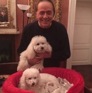 Dudù e Dudina coi loro cuccioli e Silvio Berlusconi