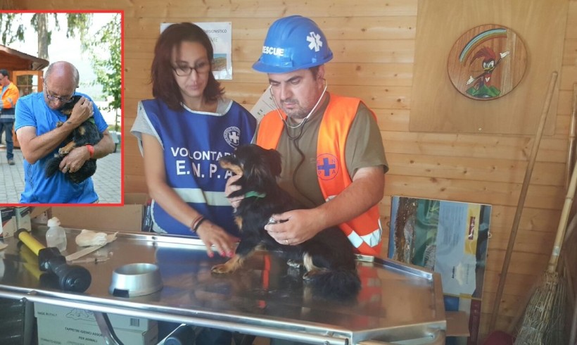 +++ Terremoto & gelo – Appello Enpa: “Dramma senza precedenti, aprire strutture anche a cani e altri animali da compagnia”