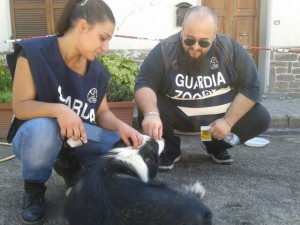 Lndc in aiuto dei cani durante il sisma 2016