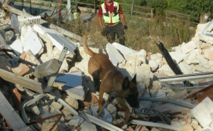 Una sessione di addestramento al soccorso