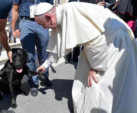 Il Papa stringe la zampa al cane Leo. Nel Giubileo dei volontari anche il quattro zampe che salvò Giorgia dalle macerie