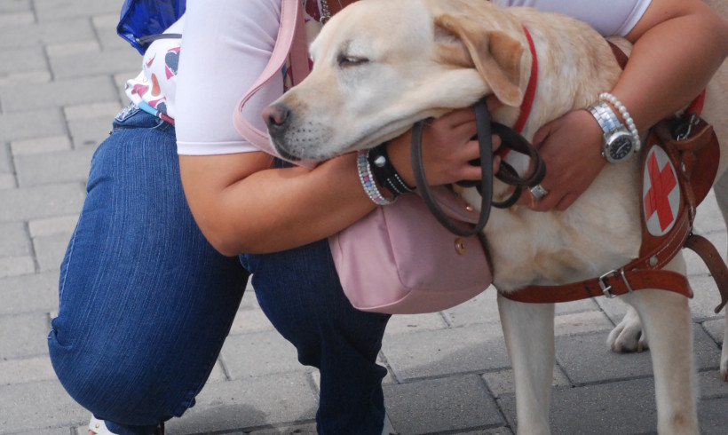 Lucia e Mindy, la storia del cane guida contestato a Pescara questo pomeriggio a “La Vita in Diretta”