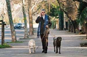 Massimo D'Alema con i suoi cani