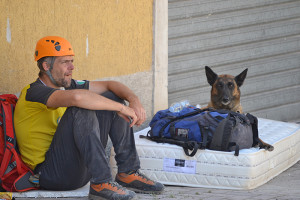 cani-da-ricerca soccorso