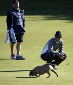 Il campione Casey tenta di farsi restituire la pallina