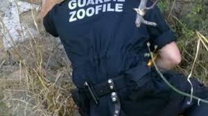 guardie zoofile enpa