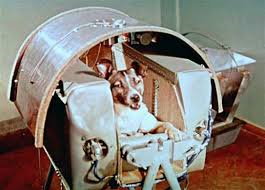 Oggi, nel 1957, la cagnolina Laika moriva sullo Sputnik