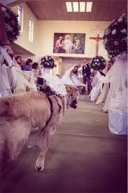 All’altare col suo cane, il prete dice no