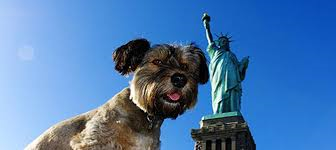 A New York tombe di famiglia aperte anche a Fido