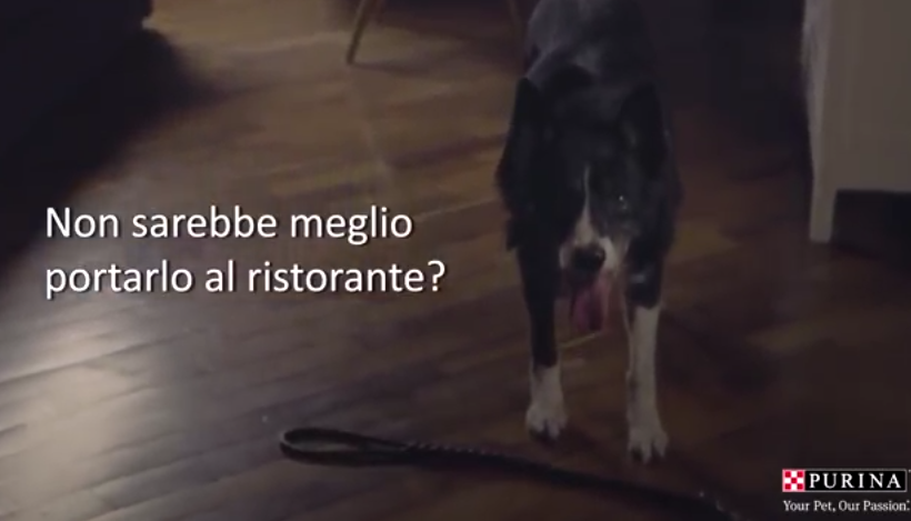 Ristorante, ufficio o bambini? PETizione a furor di polpastrelli con #mettiamocilazampa di Purina