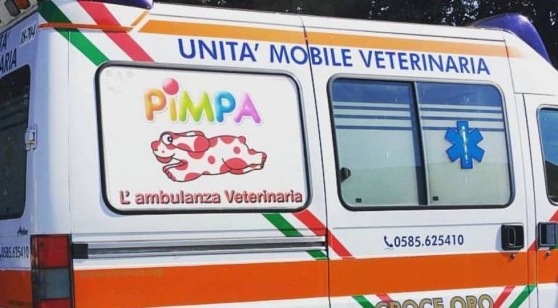 Massa, guinzaglio corto all’ambulanza Pimpa: servizio veterinario costretto al part-time