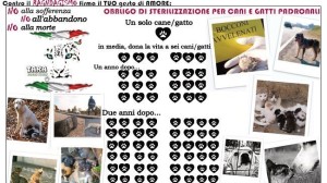 petizione sterilizzazione