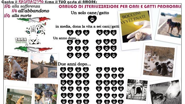 Contro il randagismo, obbligo di sterilizzazione gratuita per i cani proprietà: c’è la PETizione