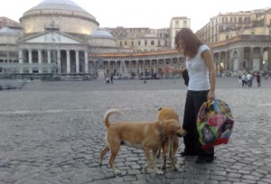 Gruppetti di randagi fanno da mascotte nel centro di Napoli