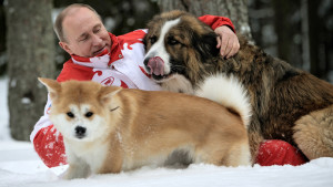 Yume gioca sulla neve con Putin e un altro dei suoi cani