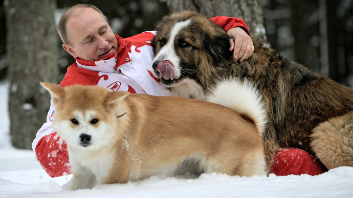 Un ‘principe consorte’ per l’Akita Yume. Dal Giappone un altro cucciolo in regalo per Putin