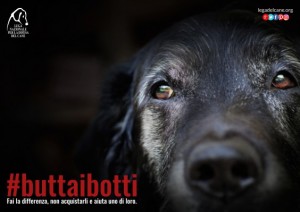 buttaibotti-2016-cane-564x399