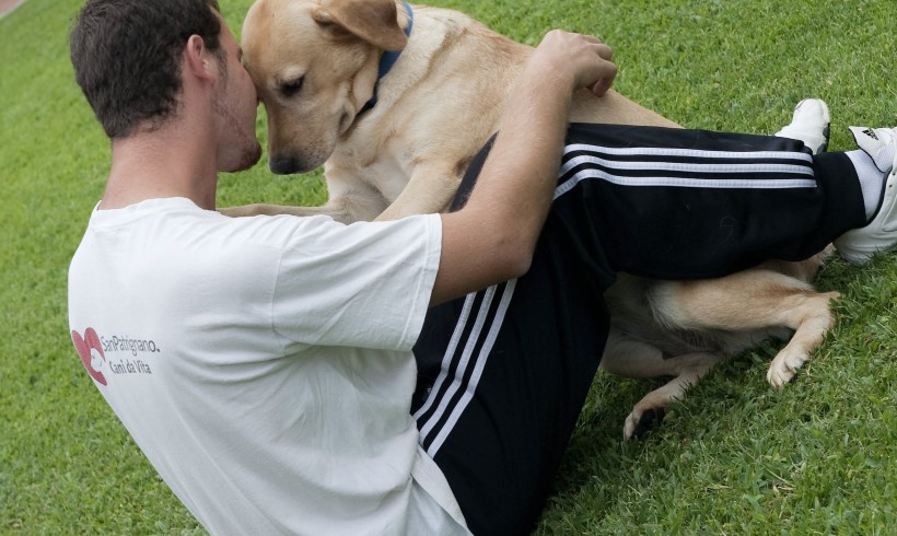 Colpo di coda al bullismo: in Sicilia la pet therapy recupera vittime e carnefici. E dal governo parte il plauso