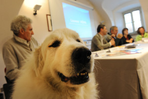 Simba in conferenza stampa alla presentazione della campagna