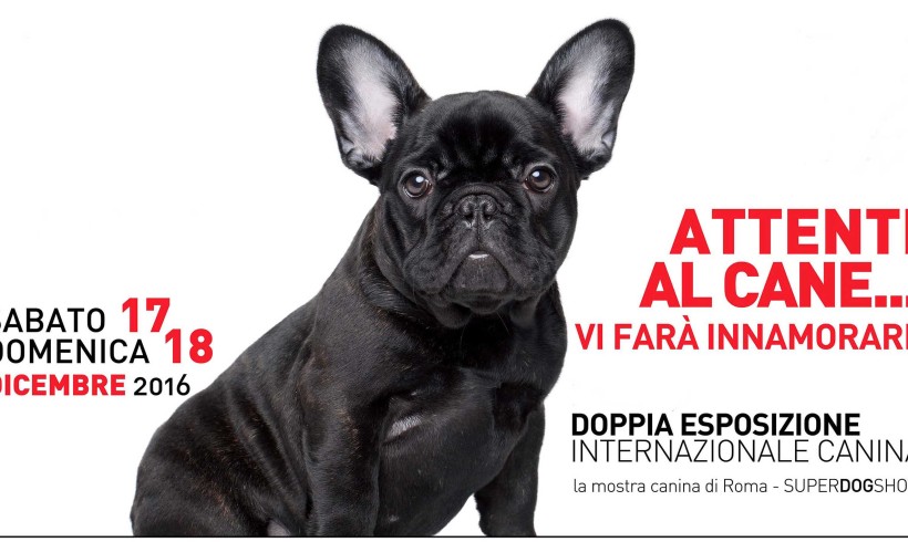 A Roma per due giorni si scodinzola al ritmo del SuperDog Show