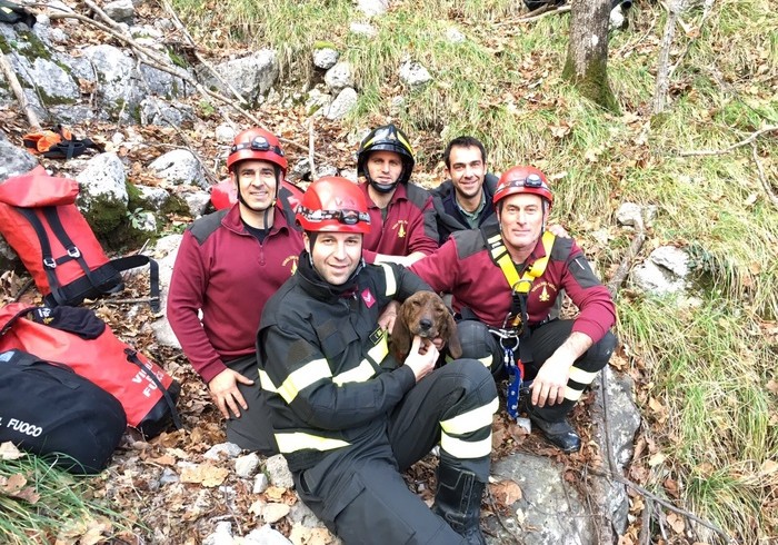 Precipita per 80 metri in un burrone, segugio tratto in salvo dai vigili del fuoco