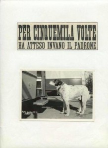 Fido davanti alla corriera in uno degli articoli dai quotidiani dell'epoca