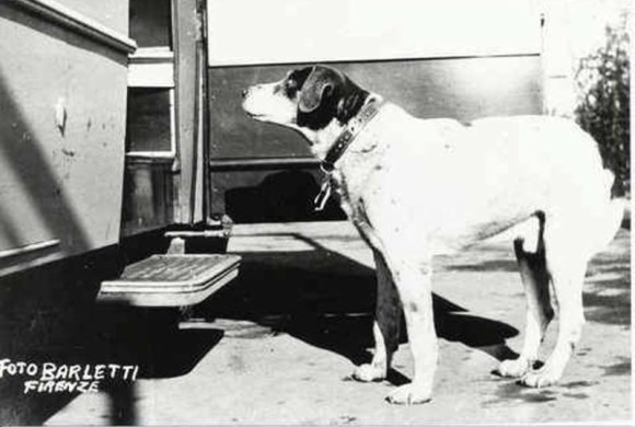 Hachiko abita in Toscana, ma si chiama Fido