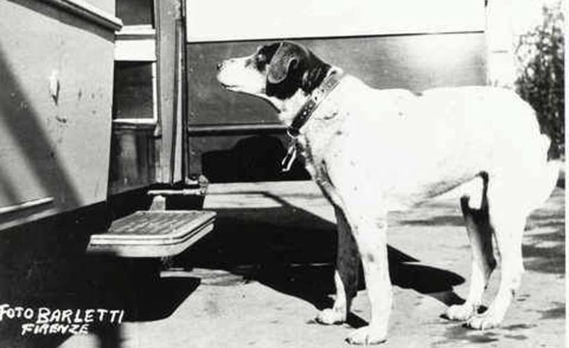 Hachiko abita in Toscana, ma si chiama Fido