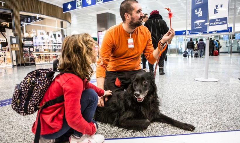 Paura di volare? A Malpensa e Linate i cani (e un coniglietto) della Maith ci danno una zampa