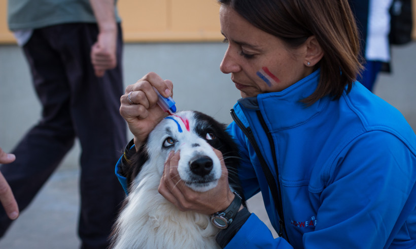 World Agility Open, partite le convocazioni per la nazionale azzurra. Appuntamento a maggio in Olanda