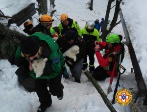 I cuccioli di Lupo e Nuvola in braccio ai soccorritori