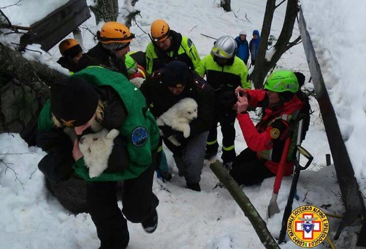 +++ BREAKING NEWS – Rigopiano, estratti vivi gli altri 3 cuccioli di Lupo e Nuvola