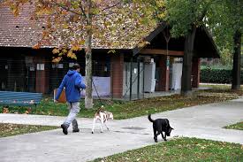 A Milano rinasce il Parco Canile grazie alla generosità dei cittadini