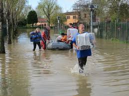 Canile di Milano distrutto dall’esondazione del Lambro: quattro a giudizio