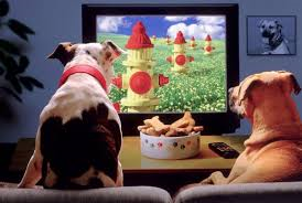 Ecco cosa piace ai cani in tv. Intanto Oltralpe si studia un canale tutto per loro