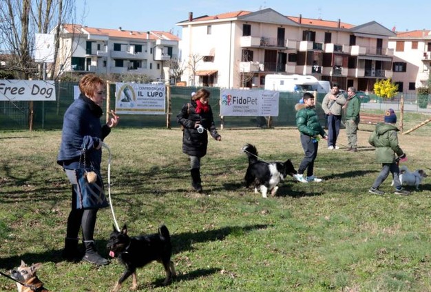 Zampe in festa a Ponte a Elsa: la nuova area cani è realtà